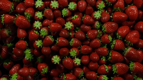 Bright red strawberries fruit fall drop, green screen transition loop animation Stock Footage 303485550