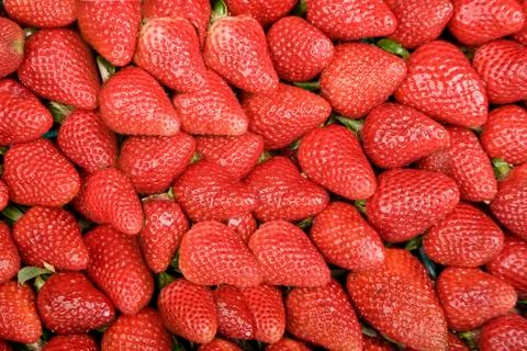 Bright Red Strawberries Stock Photos