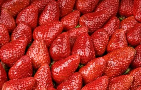 Bright Red Strawberries Stock Photos