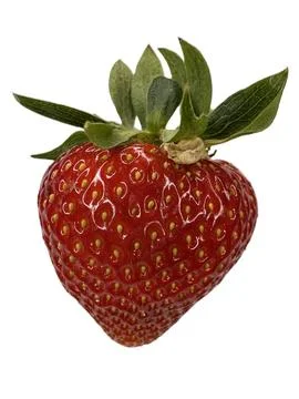 Bright Red Strawberry with Leaf Cap and Shine Stock Photos