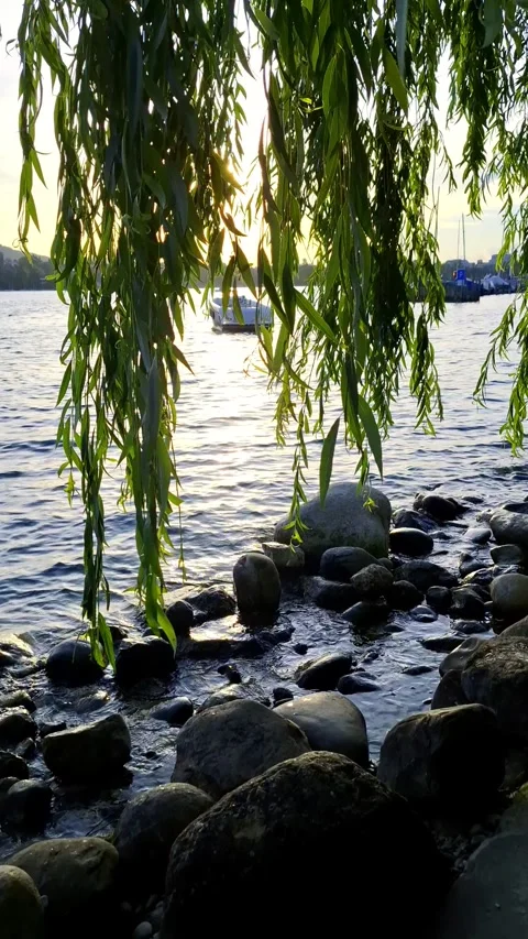 Bright red sunset views on Lake Zurich . Stock Footage 337104483