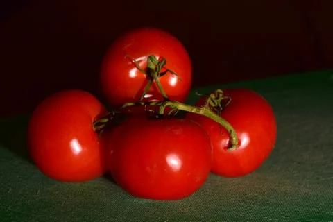 Bright Red Tomatoes Stock Photos