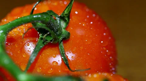 Bright  red tomatoes with water drops. Slider  macro shot Stock Footage 35915962