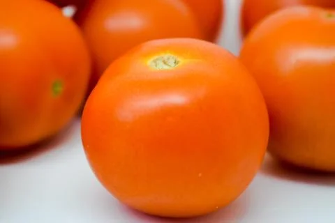 Bright Red Tomatoes with white background nothing else Stock Photos