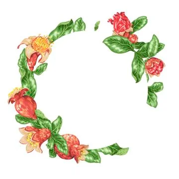 Bright red vector frames with big pomegranate flowers and fruits on the branc Stock Illustration