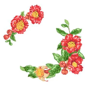 Bright red vector frames with big pomegranate flowers and fruits on the branc Stock Illustration