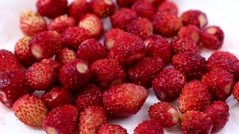 Bright red wild strawberry falling down close up Stock Footage 289992886