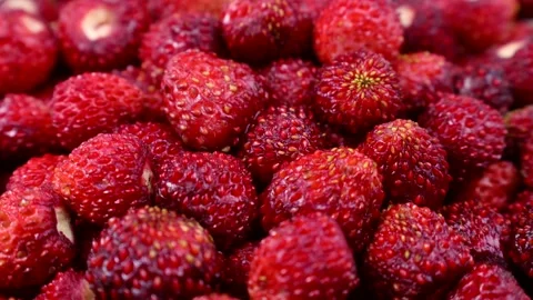 Bright red wild strawberry texture circle roation close up Stock Footage 278397631
