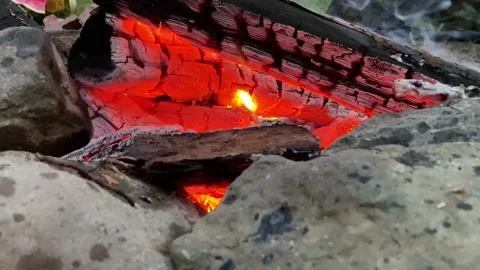 Bright red-yellow fire, burning wood and coals Stock Footage 136271235