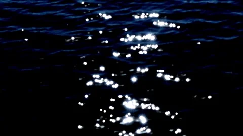 Bright reflections dance on water surface during midday at the lake Stock Footage 335333658