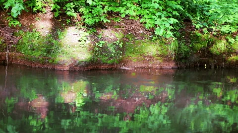 A bright river flow Stock Footage 68102911