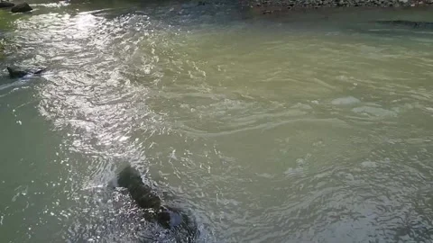Bright river reflections on moving surface with soft swirling ripples. Stock Footage 325750468