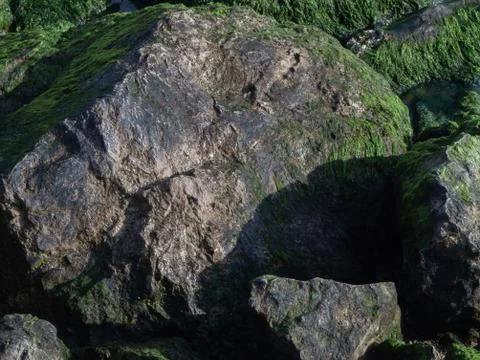Bright rocks covered with green algae Stock Photos