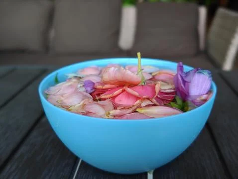 Bright rose petals Stock Photos