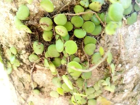 Bright round Stock Photos