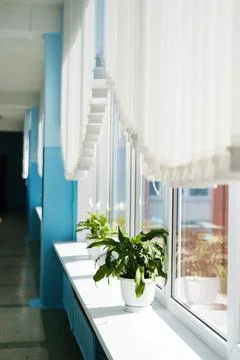 Bright school corridor interior featuring large windows with sunlight streaming Stock Photos