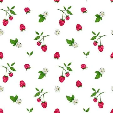 Bright seamless pattern featuring summer berries and flowers on a white bac.. 스톡 일러스트