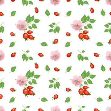 Bright seamless pattern with rose hips, red berries, leaves and flowers. Summer Stock Illustration