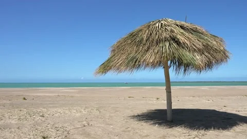 Bright seascape of an empty tropical beach with thatched parasol and fresh Stock Footage 221134066