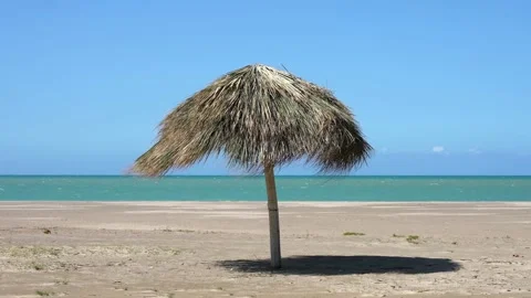Bright seascape of an empty tropical beach with thatched parasol and fresh Stock Footage 221134121