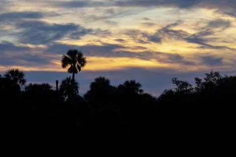 Bright Shadow Foto stock