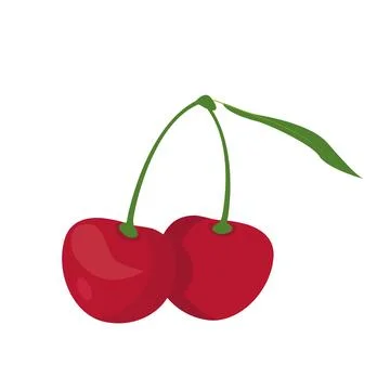 Bright, shiny red cherry berries provide healthy vitamins. Illustrazione stock