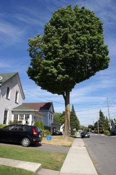 The Bright Side Stock Photos