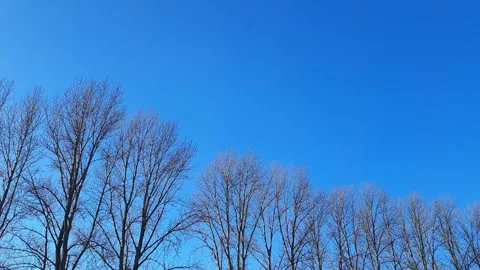 Bright sky landscape on sunny cloudless day. Stock Footage 260318253