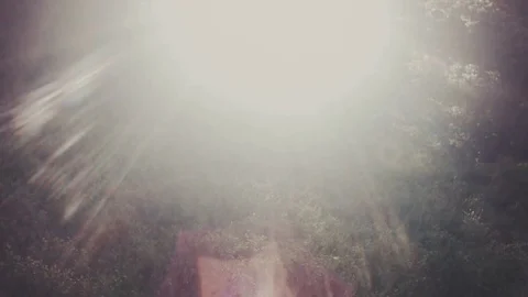 Bright sky with lens flares deep in the mountain forest Stock Footage 80559241