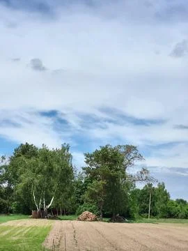 Bright sky with light clouds over forest treetops, peaceful summer day Stock-Fotos