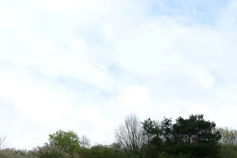 Bright sky Stock Photos