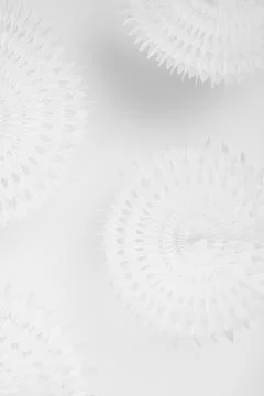 Bright soft light white abstract background with circle ribbed carved decorat Foto stock