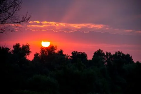Bright solar disk over a trees at sunrise Foto stock