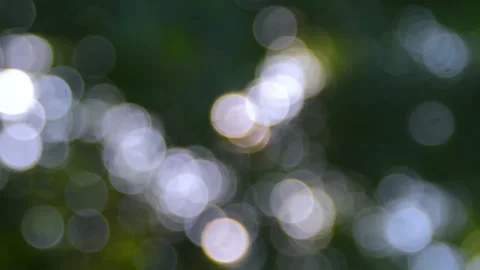 Bright Sparkling Bokeh Circles Background with Shimmering Nature Light Stock Footage 332089374
