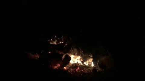 Bright sparkling fire. Stock-Footage 137467209