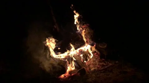 Bright sparkling fire. Stock-Footage 137467259