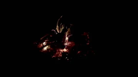 Bright sparkling fire. Slow motion video. Stock-Footage 135955411