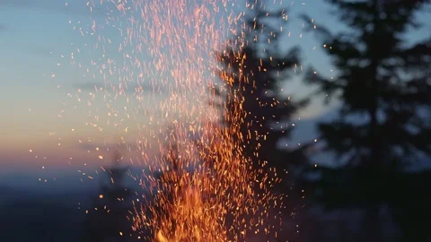 Bright sparks fly from the fire and float in the air. Bonfire, wild camping 動画素材 169693733