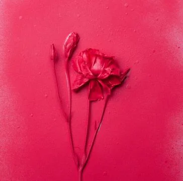 Bright spray painted red eustoma flower on a red paper background. Stock Photos