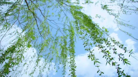 Bright spring blue sky and white clouds, wicker swinging Vídeo Stock 257289482