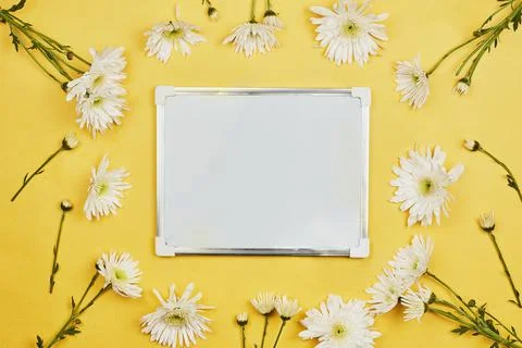 Bright spring flowers Stock Photos
