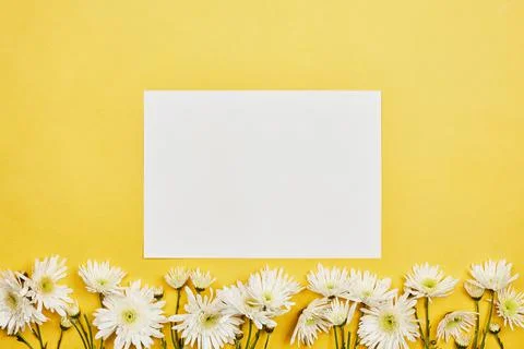 Bright spring flowers Stock Photos