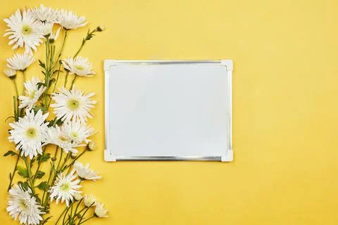 Bright spring flowers Stock Photos
