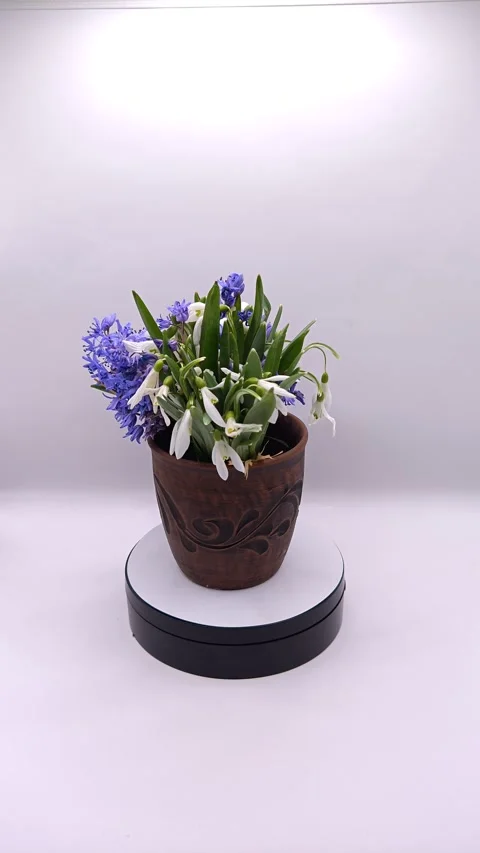 Bright spring flowers on a white background Stock Footage 331468112
