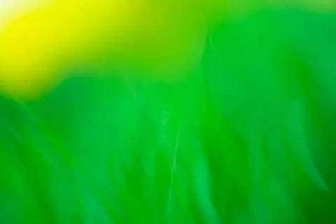 Bright spring grass field defocused. Abstract spring nature defocused bokeh e 스톡 사진