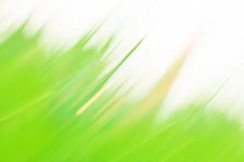 Bright spring grass field defocused. Abstract spring nature defocused bokeh e Stock Photos