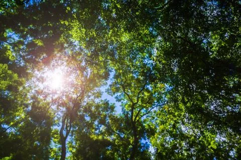 Bright spring natural background Stock-Fotos