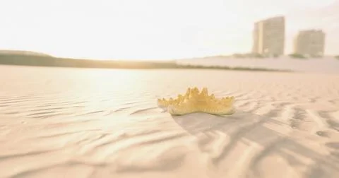 Bright starfish resting on sandy beach during sunset in coastal area Stock Illustration