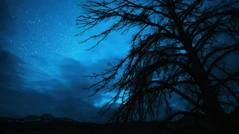 Bright stars covered up by clouds moving in dead tree 動画素材 167073659