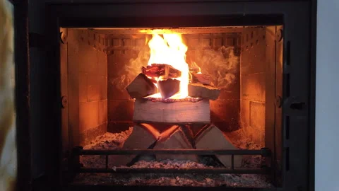 A bright, steady fire burns inside a modern enclosed fireplace, with stacked Stock Footage 327916943